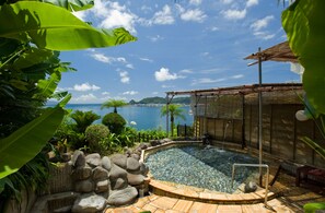 Piscina privada con vistas al mar, rodeada de plantas tropicales y rocas.