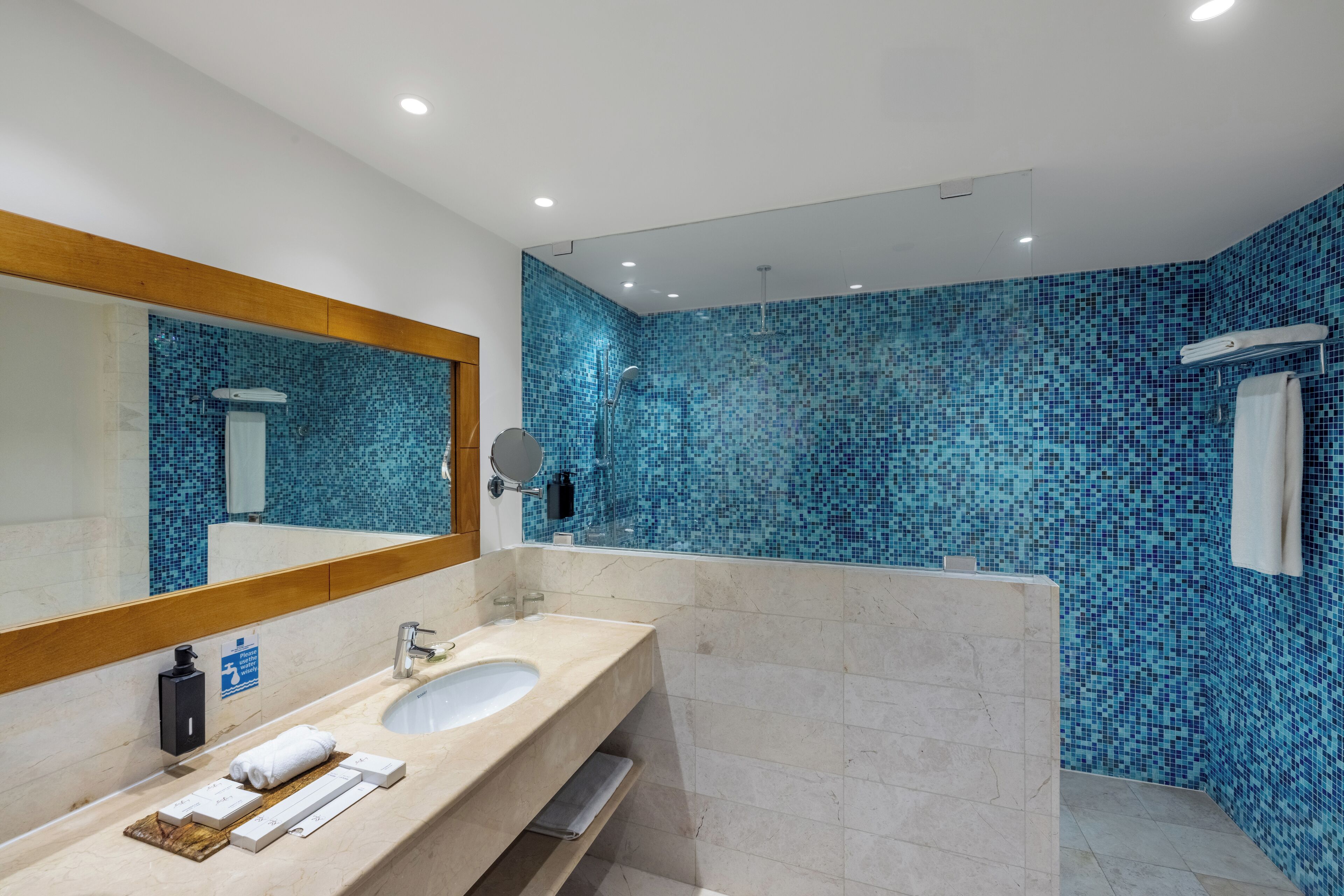 deluxe room | bathroom | shower, rainfall showerhead, eco-friendly toiletries, hair dryer