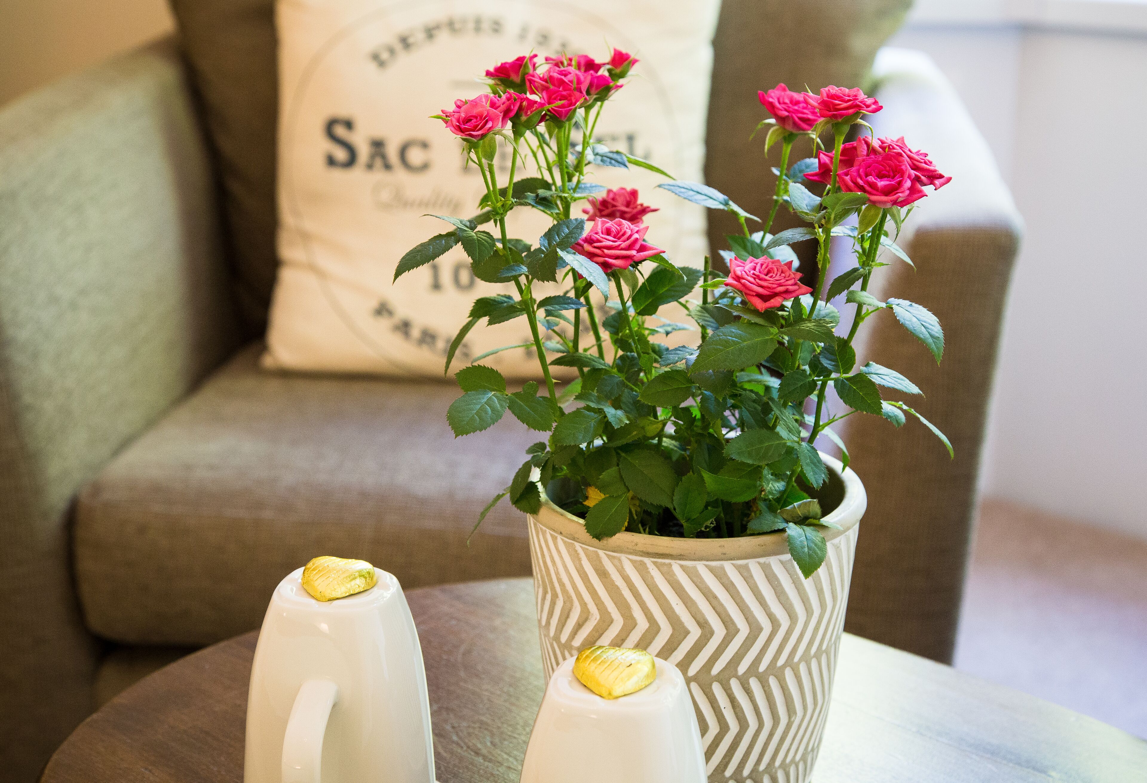 Foto - Fountains Guest House - Harrogate Stays