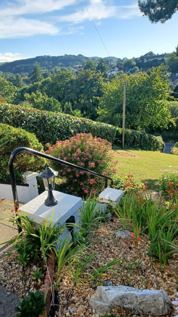 A garden with a pathway, a lamp post, and a view of a hill with trees.