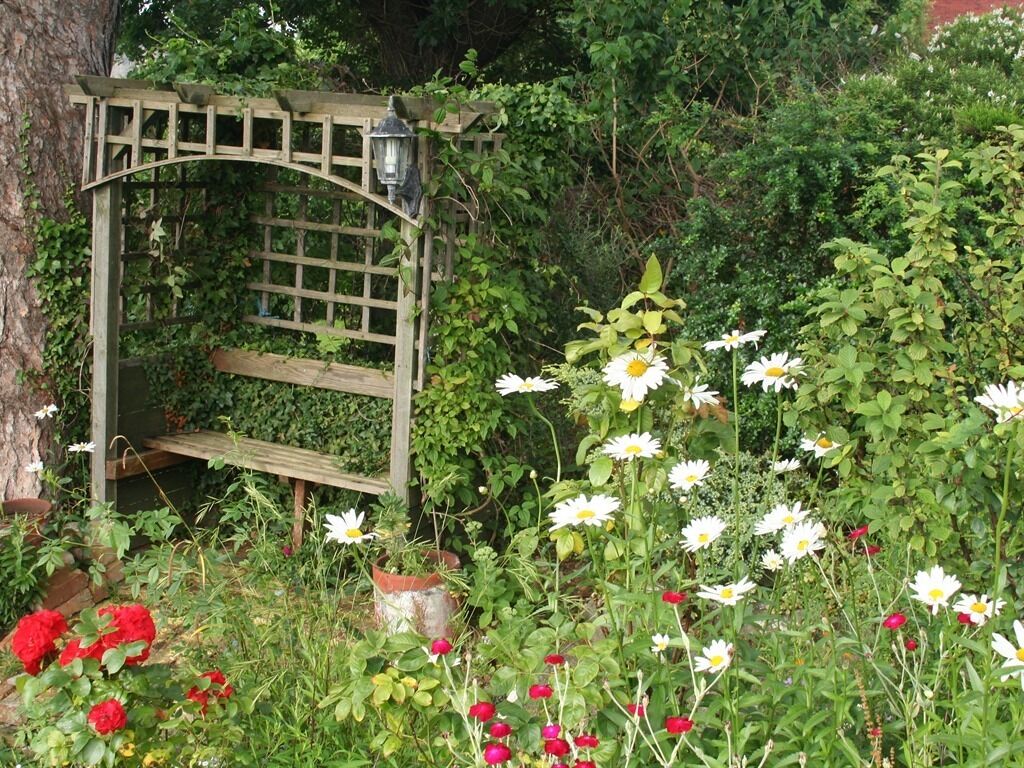 Un jardin agrémenté d’une pergola en bois, d’un banc et de diverses fleurs, notamment des marguerites et des roses rouges.