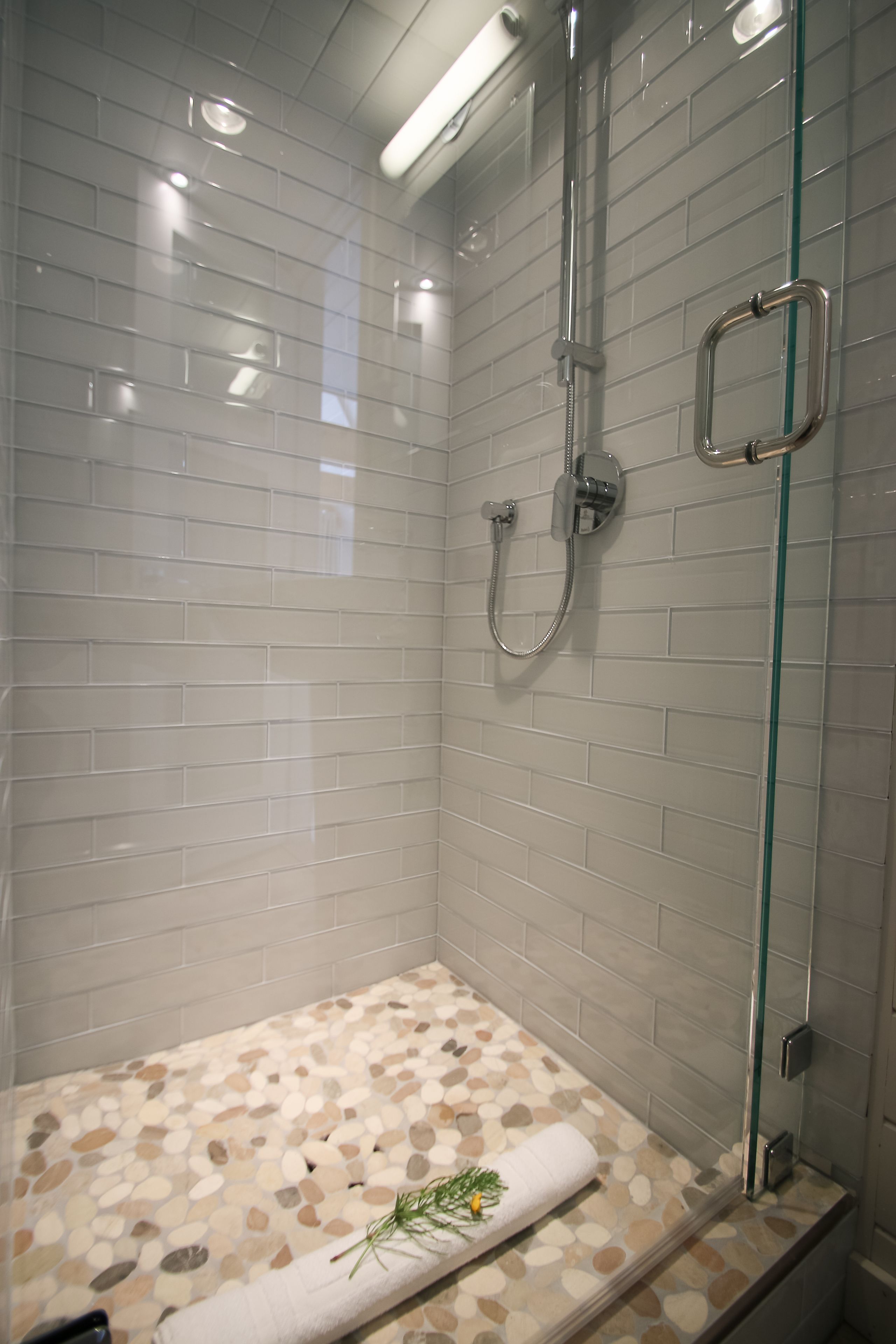 premier cabin, multiple beds, oceanfront | bathroom shower