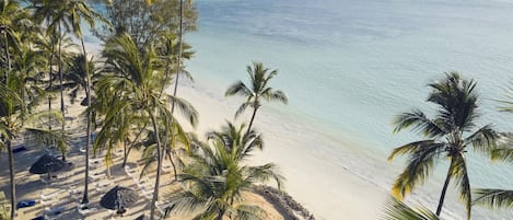 A beach with palm trees and a clear view of the ocean.
