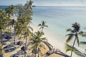 Ein Strand mit Palmen und freier Sicht auf den Ozean.