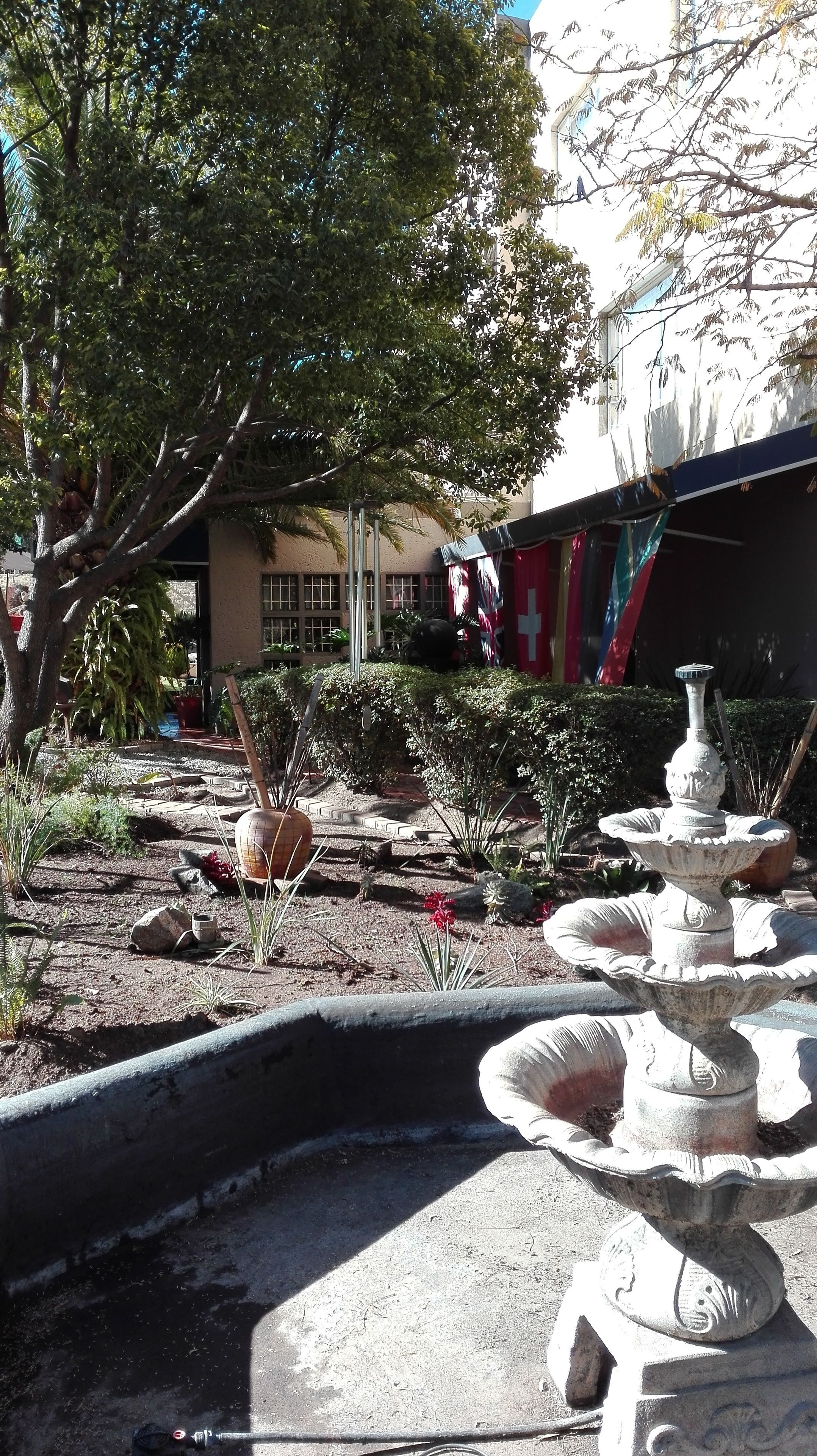 A garden with a fountain, trees, and a building in the background.