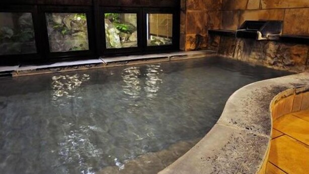 Un área de aguas termales con un muro de piedra, un banco de madera y un recinto de cristal con plantas.