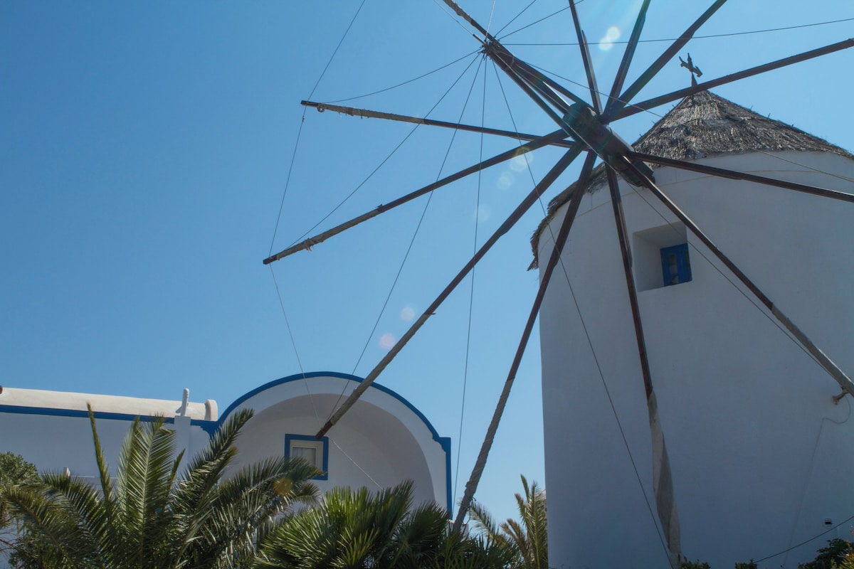 Un molino de viento con techo de paja y un edificio blanco con adornos azules.
