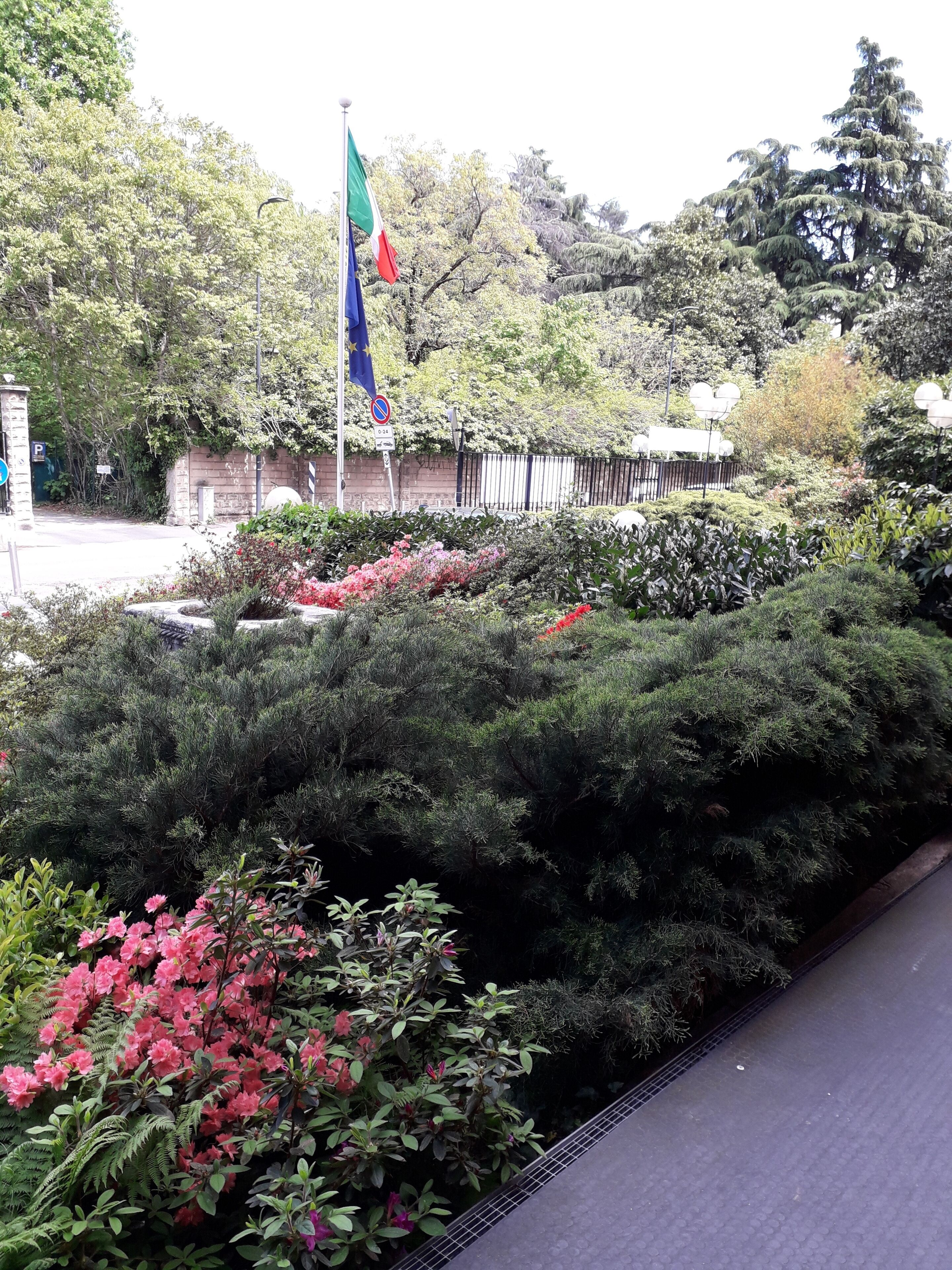 庭園