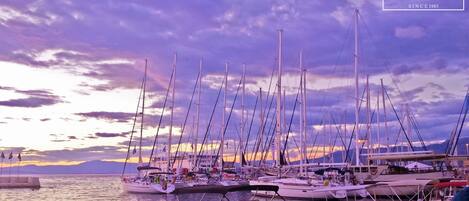 A marina with multiple sailboats docked at sunset.