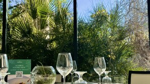 Ein Esstisch gedeckt mit Weingläsern und Besteck, ein QR-Code und ein Menüschild in einem Restaurant mit Blick auf üppiges tropisches Grün.