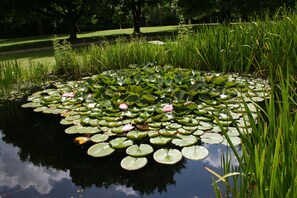 Vista desde la propiedad