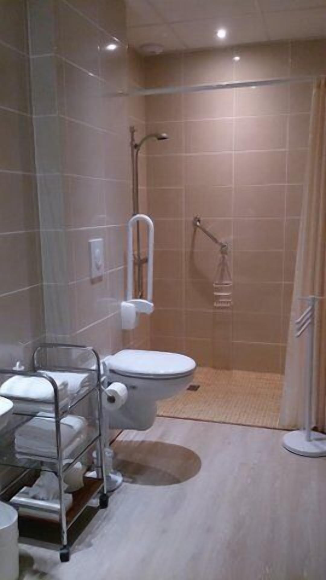 Un baño con inodoro, ducha y lavamanos con toallero.
