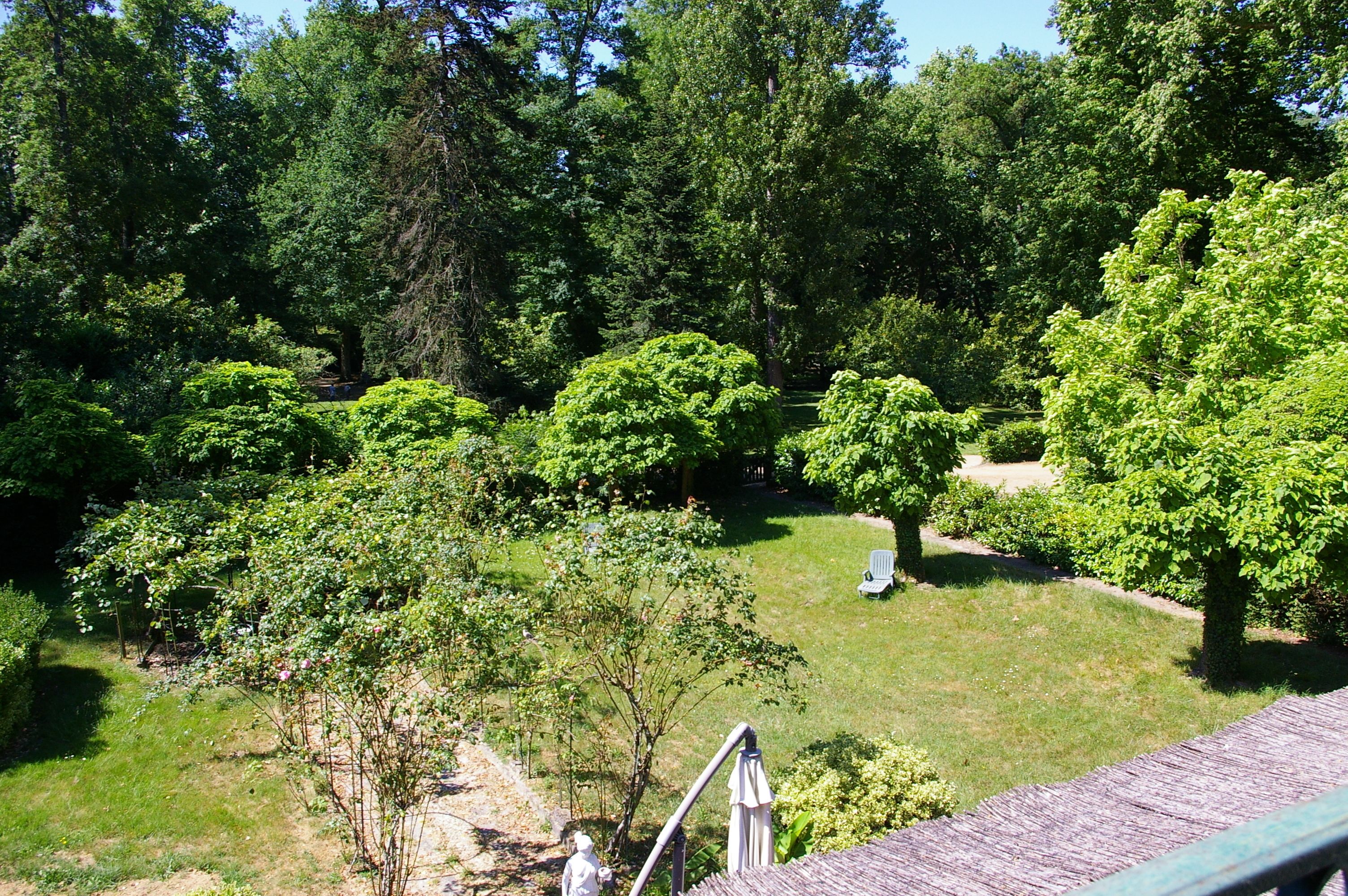 Un jardín exuberante con varios árboles y arbustos, césped y una silla.
