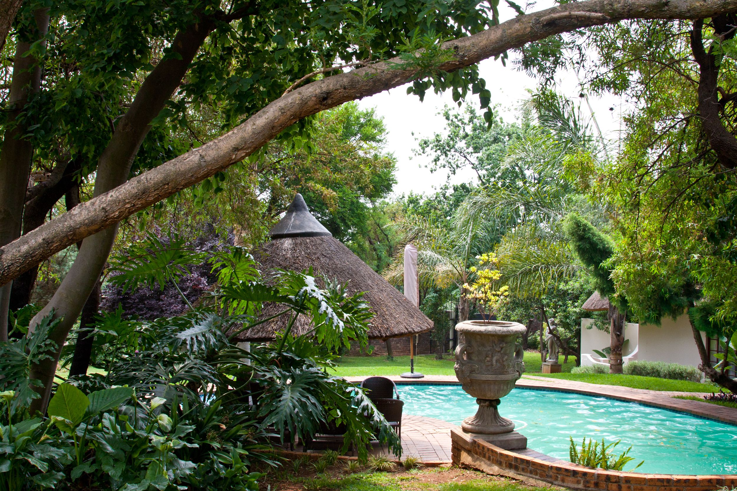 Outdoor pool, pool umbrellas, pool loungers