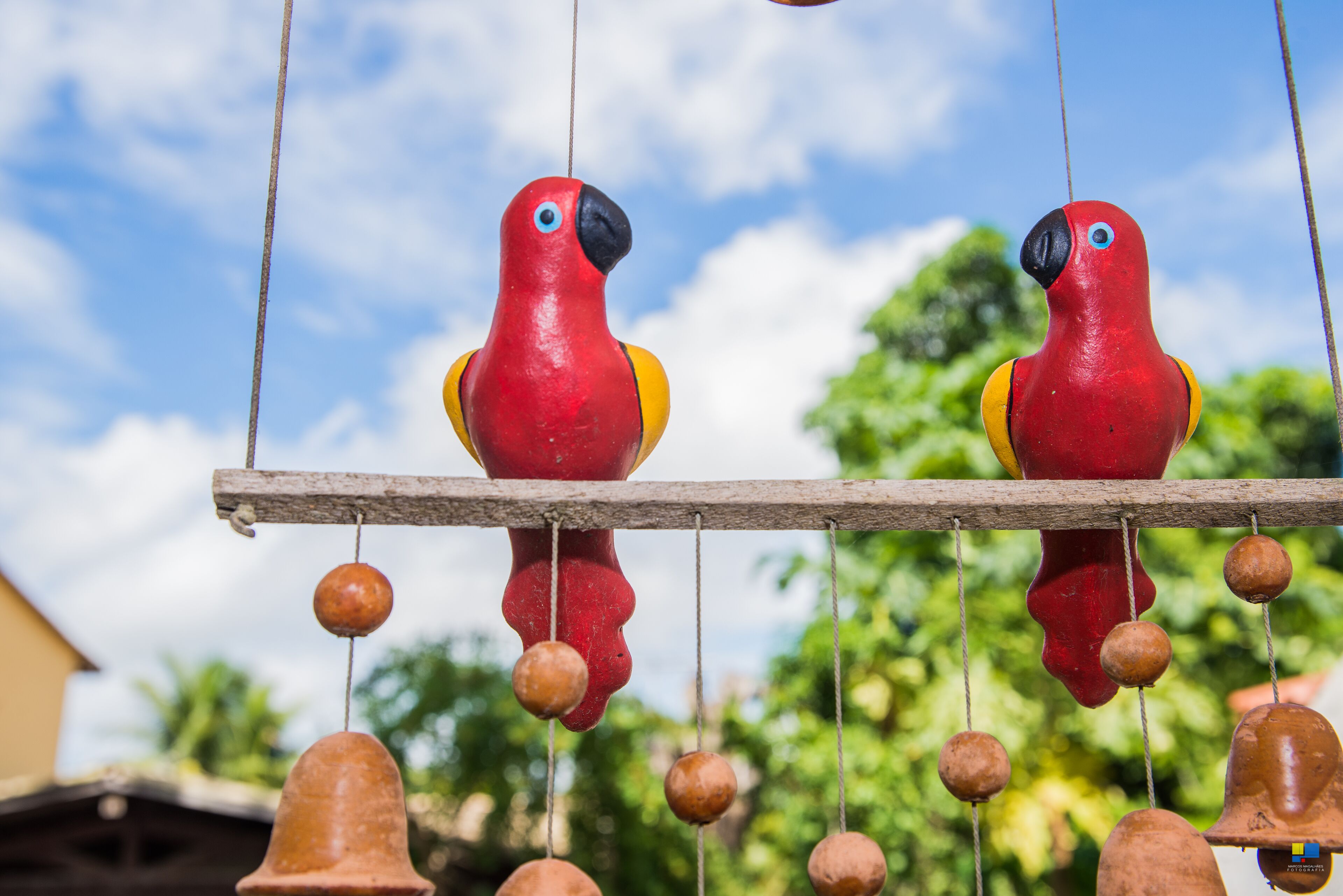 Foto - Pousada Tropicalia