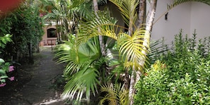Garden - Pousada Tropicália (Itaparica)