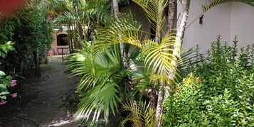 Jardín