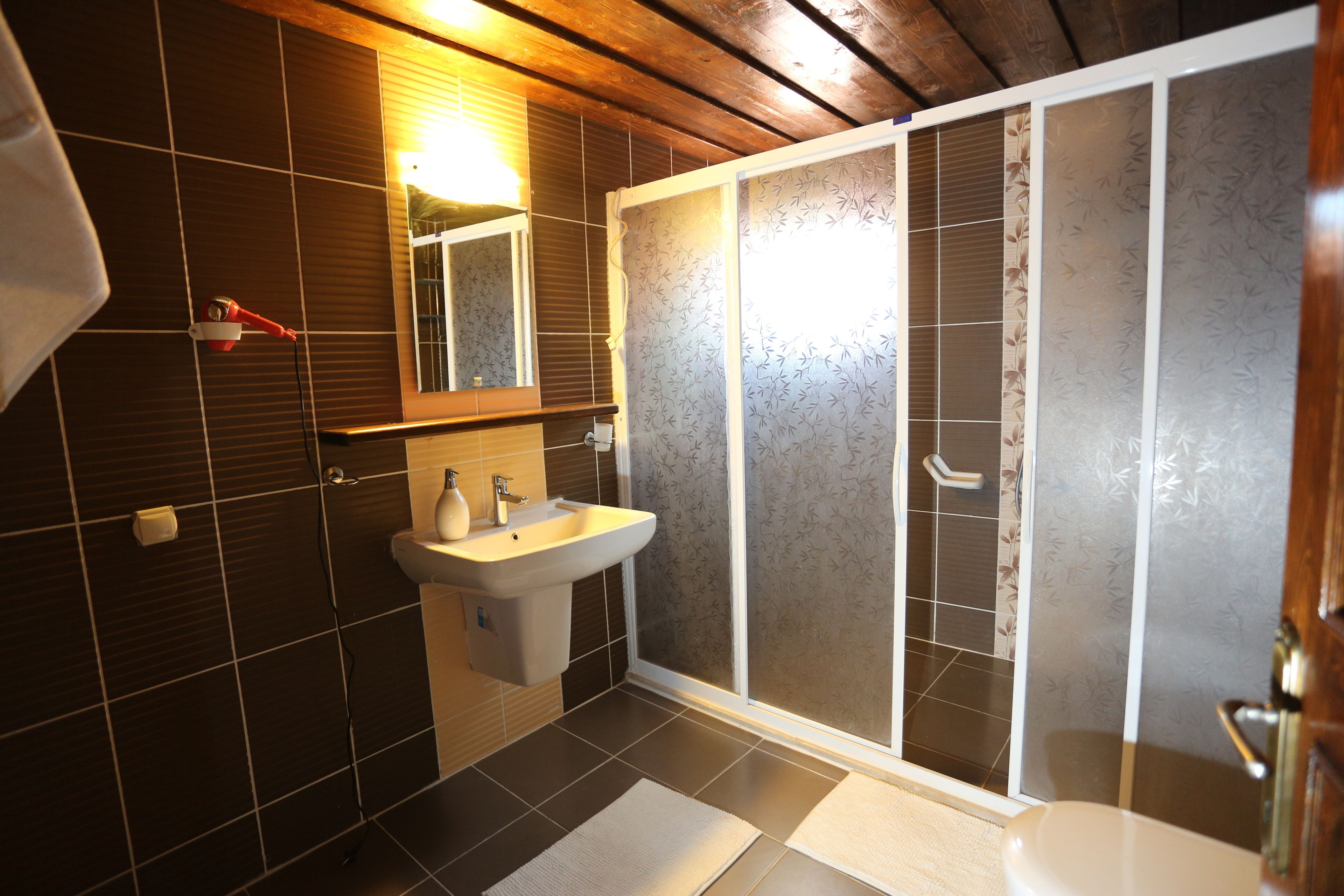 Douche, douche à « effet pluie », sèche-cheveux, serviettes fournies