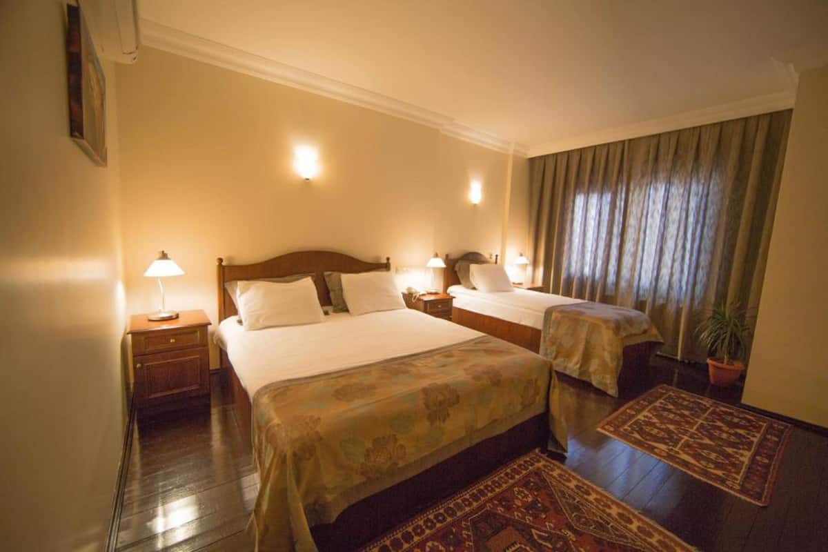 A hotel room with two beds, a nightstand with a lamp, a potted plant, and a patterned rug.