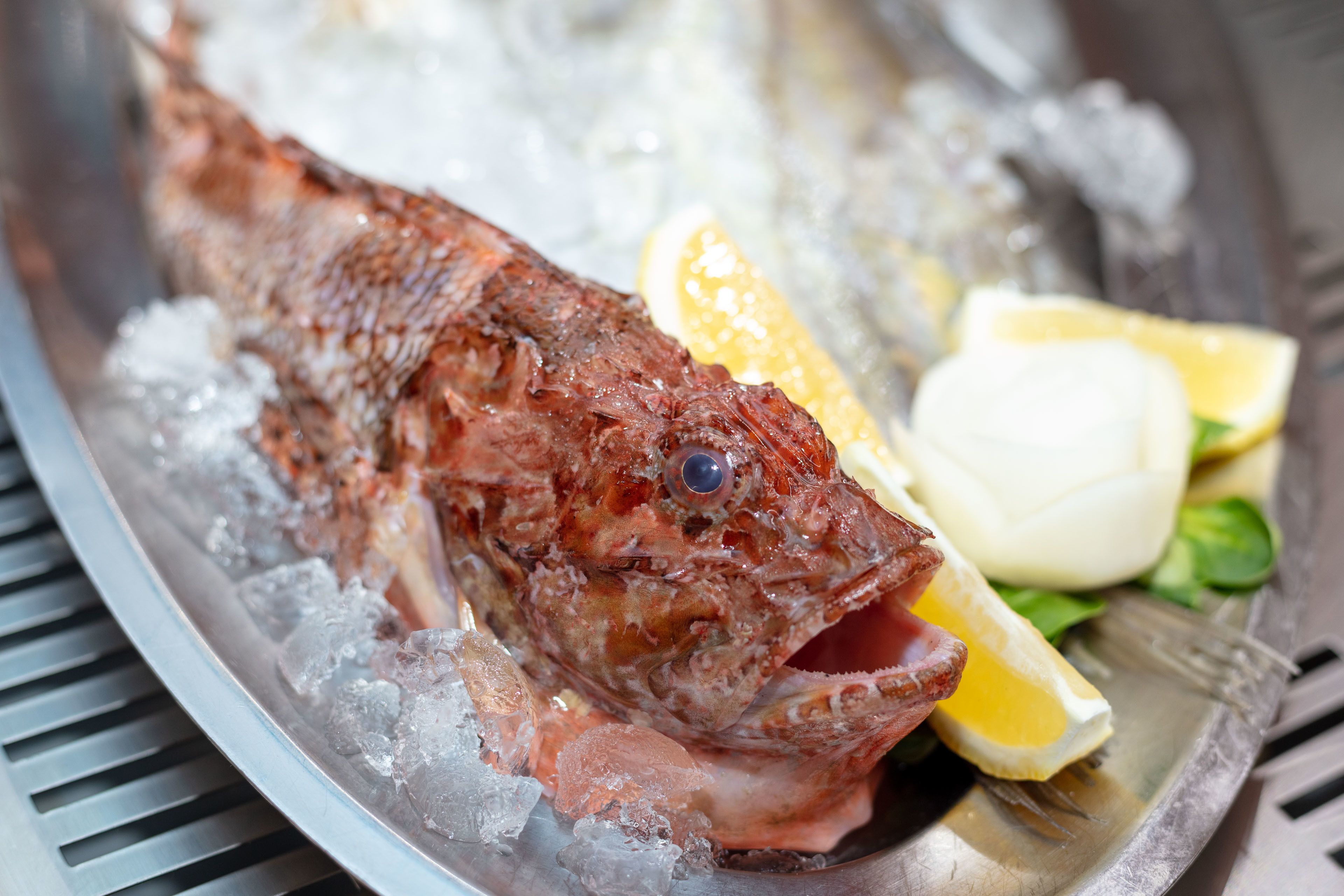A fish on a plate with ice, lemon slices, and a fork.