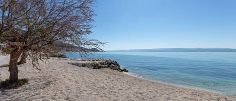 A beach with a clear sky, a rocky shoreline, and a tree.