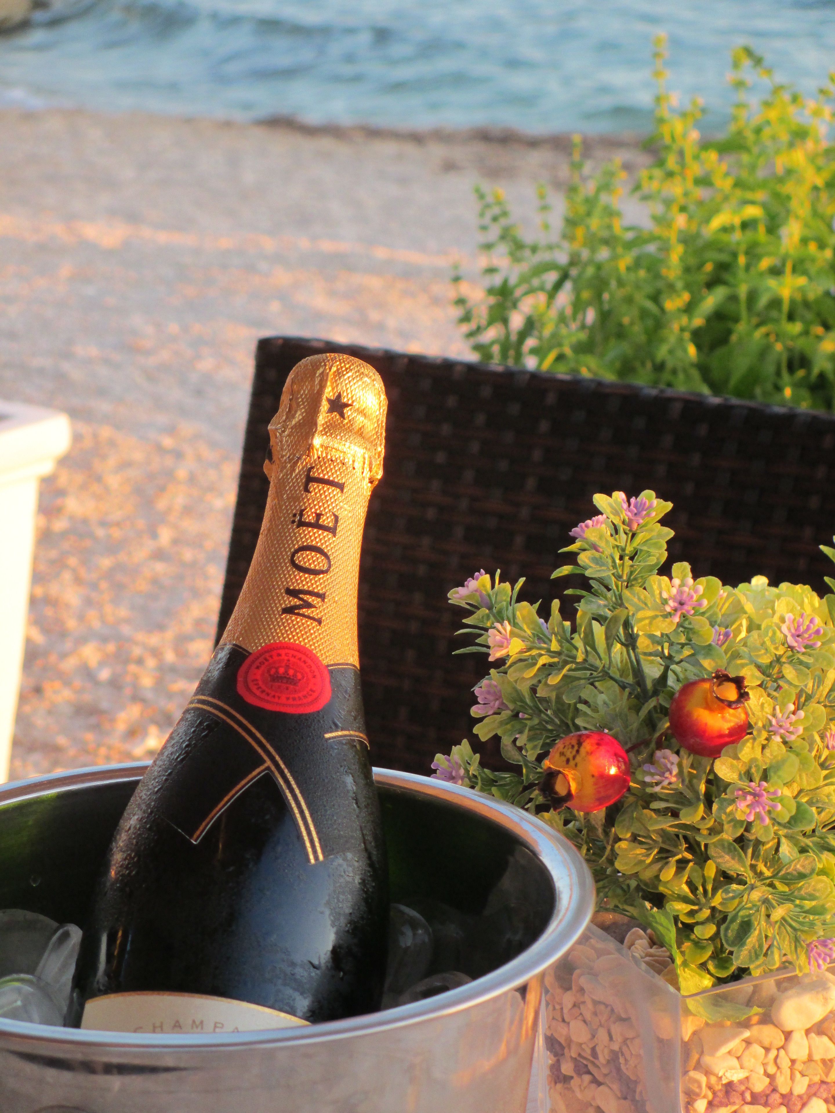 A bottle of Moet champagne in an ice bucket.