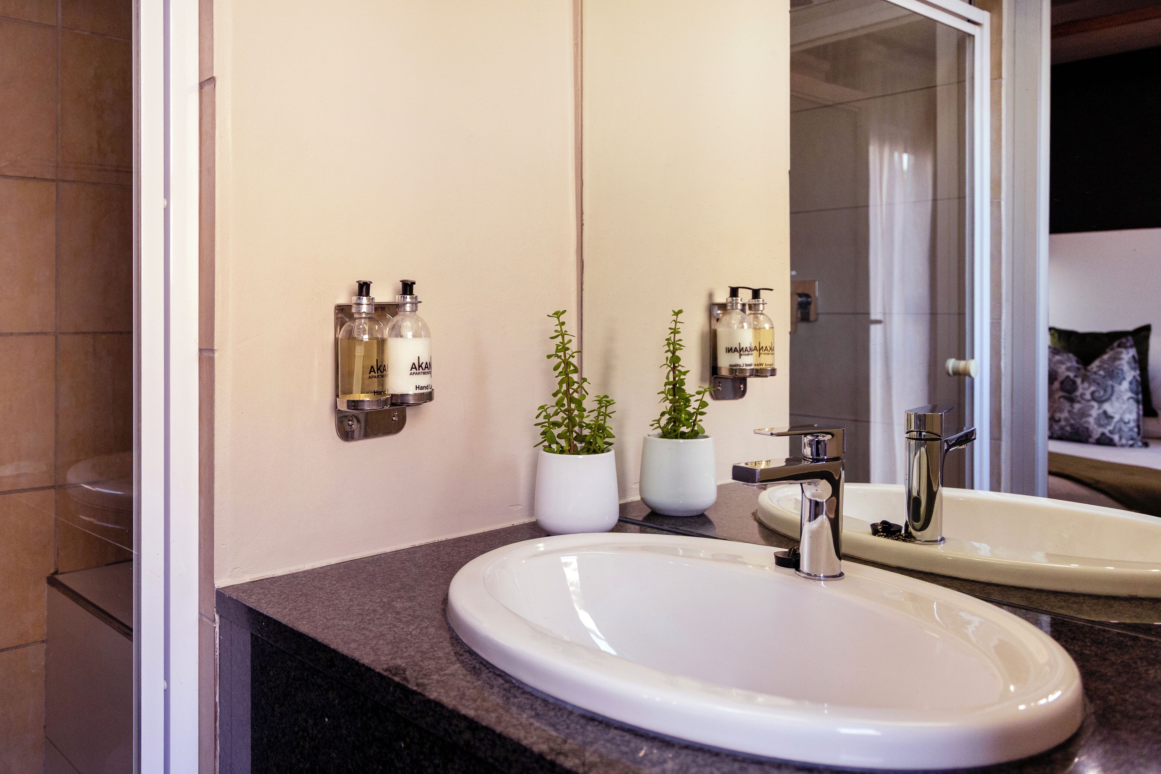 Un baño con un lavabo blanco, dos plantas en macetas y dos botellas de champú en la pared.