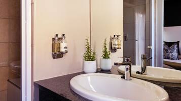 Un baño con un lavabo blanco, dos plantas en macetas y dos botellas de champú en la pared.