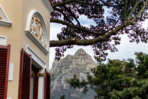 A building with a large tree branch in the foreground, a mountain in the background, and a building facade with architectural details.