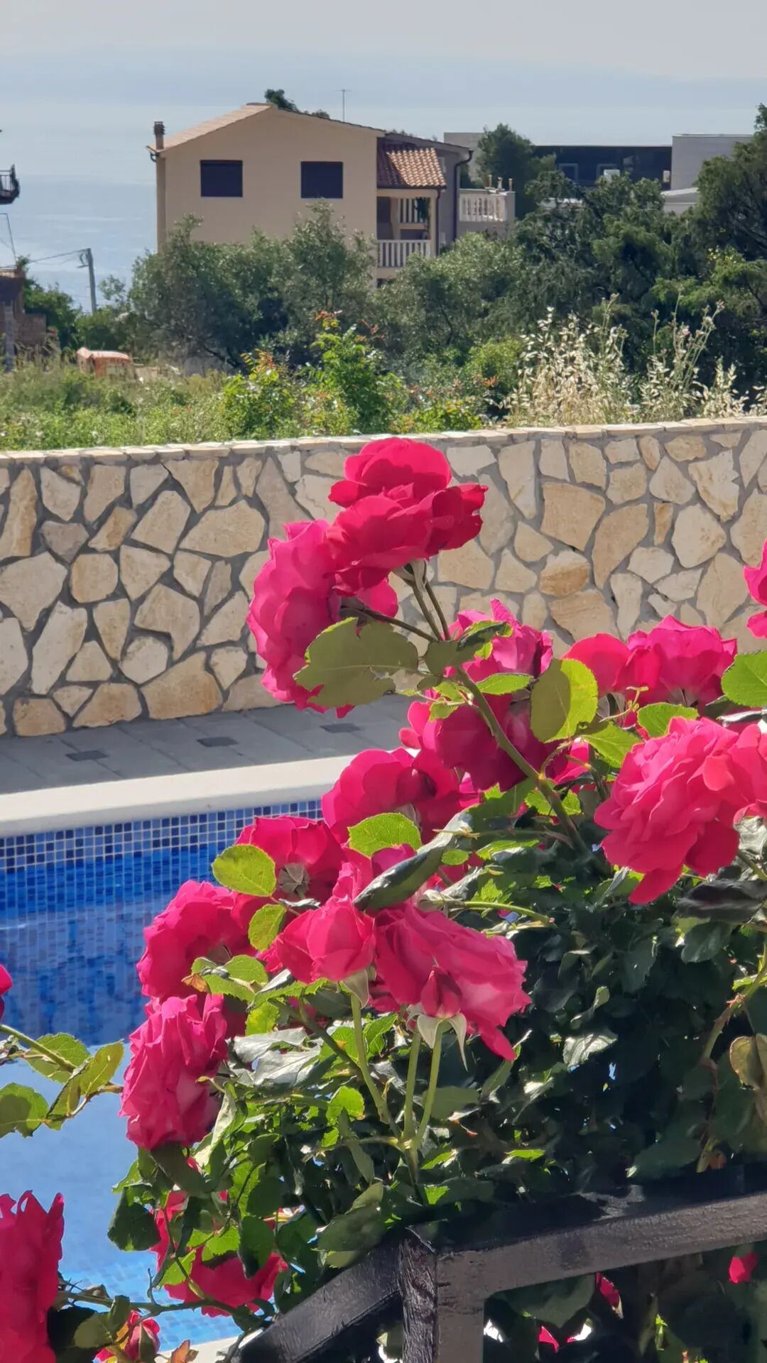 Un espace piscine agrémenté de fleurs roses au premier plan et d’un mur en pierre.