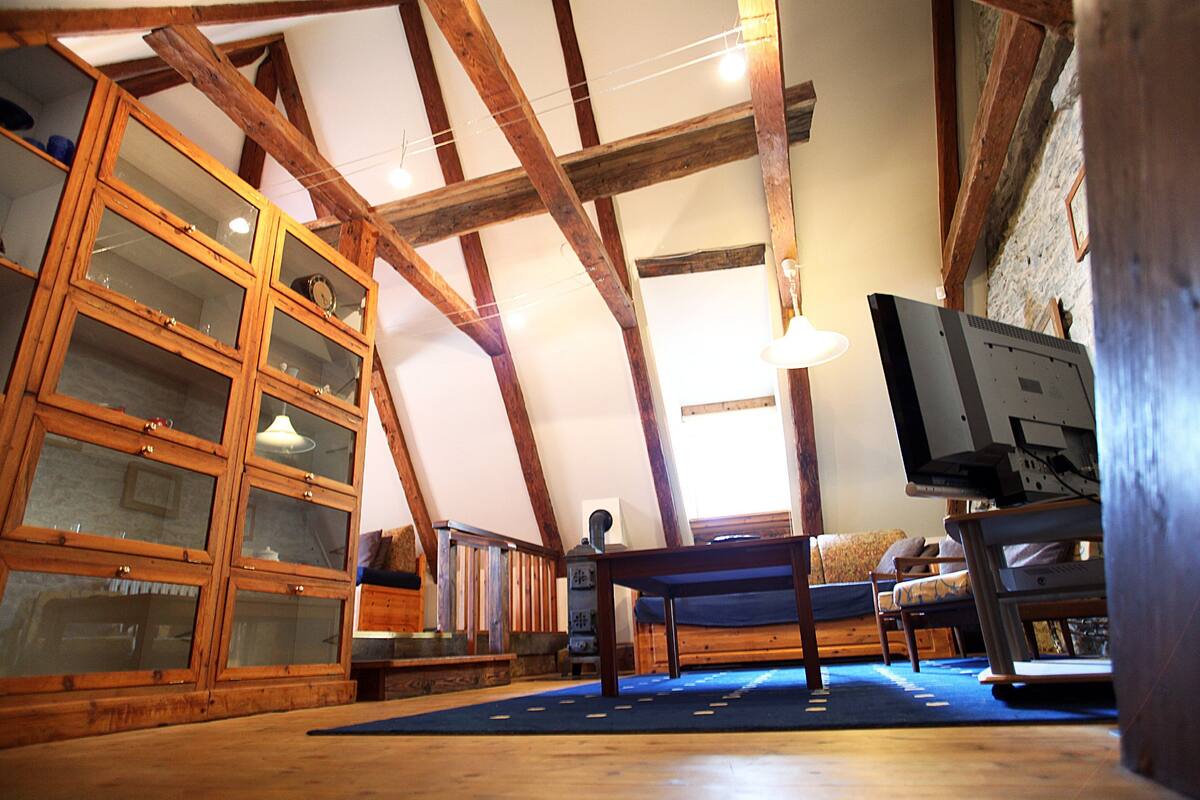 Large Studio Apartment Attic | Wohnbereich
