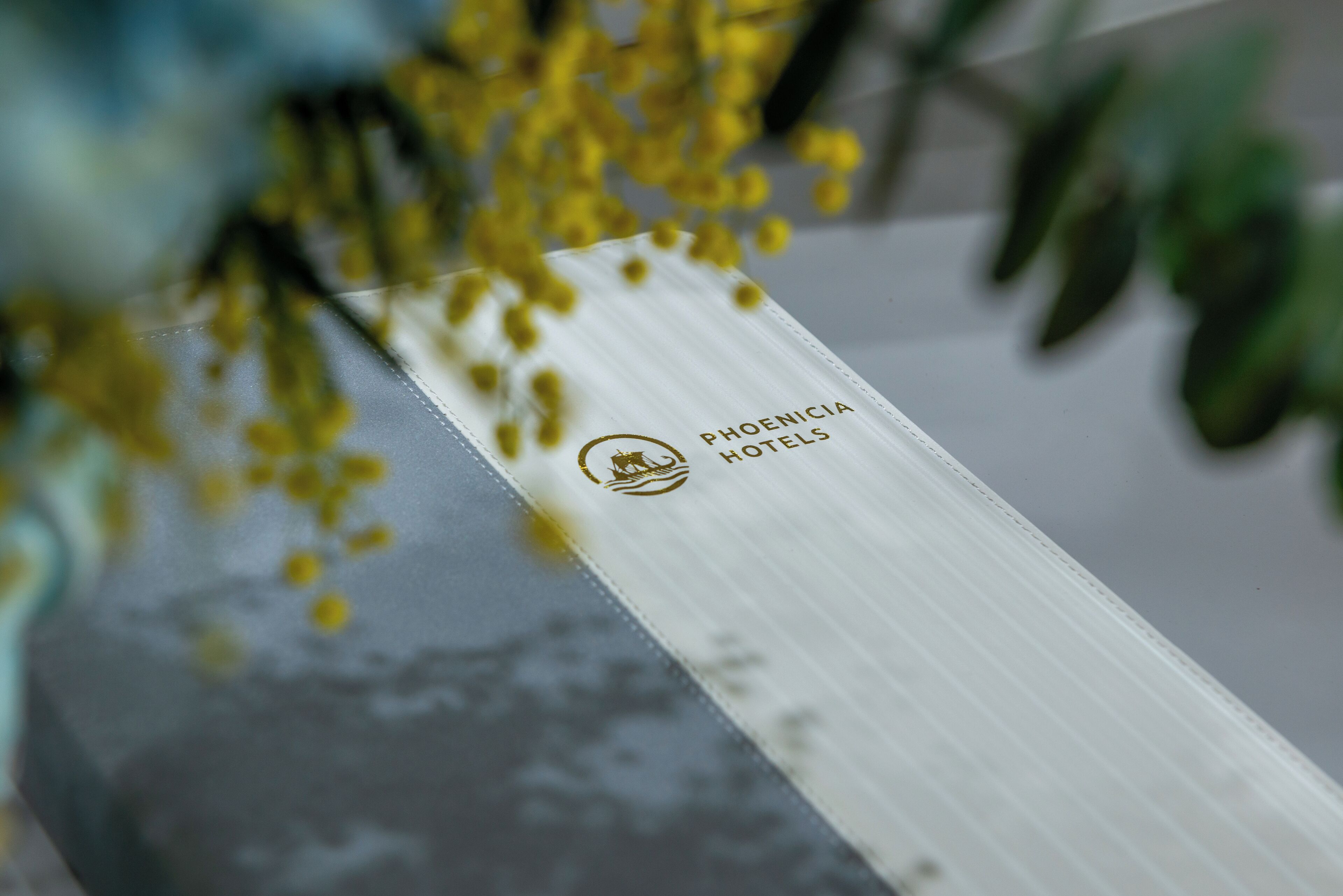 Photo - Hotel Phoenicia Express