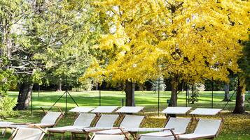 Un parque con una fila de sillas de madera reclinables y un gran árbol amarillo.