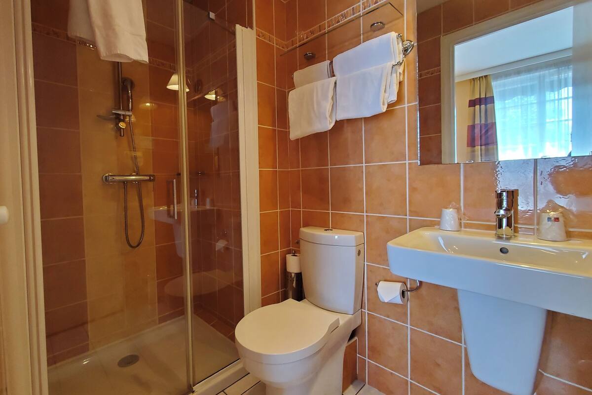 shower, free toiletries, hair dryer, towels