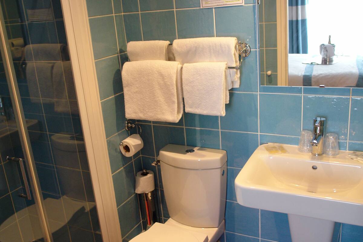 classic single room, 1 double bed | bathroom amenities | shower, free toiletries, hair dryer, towels