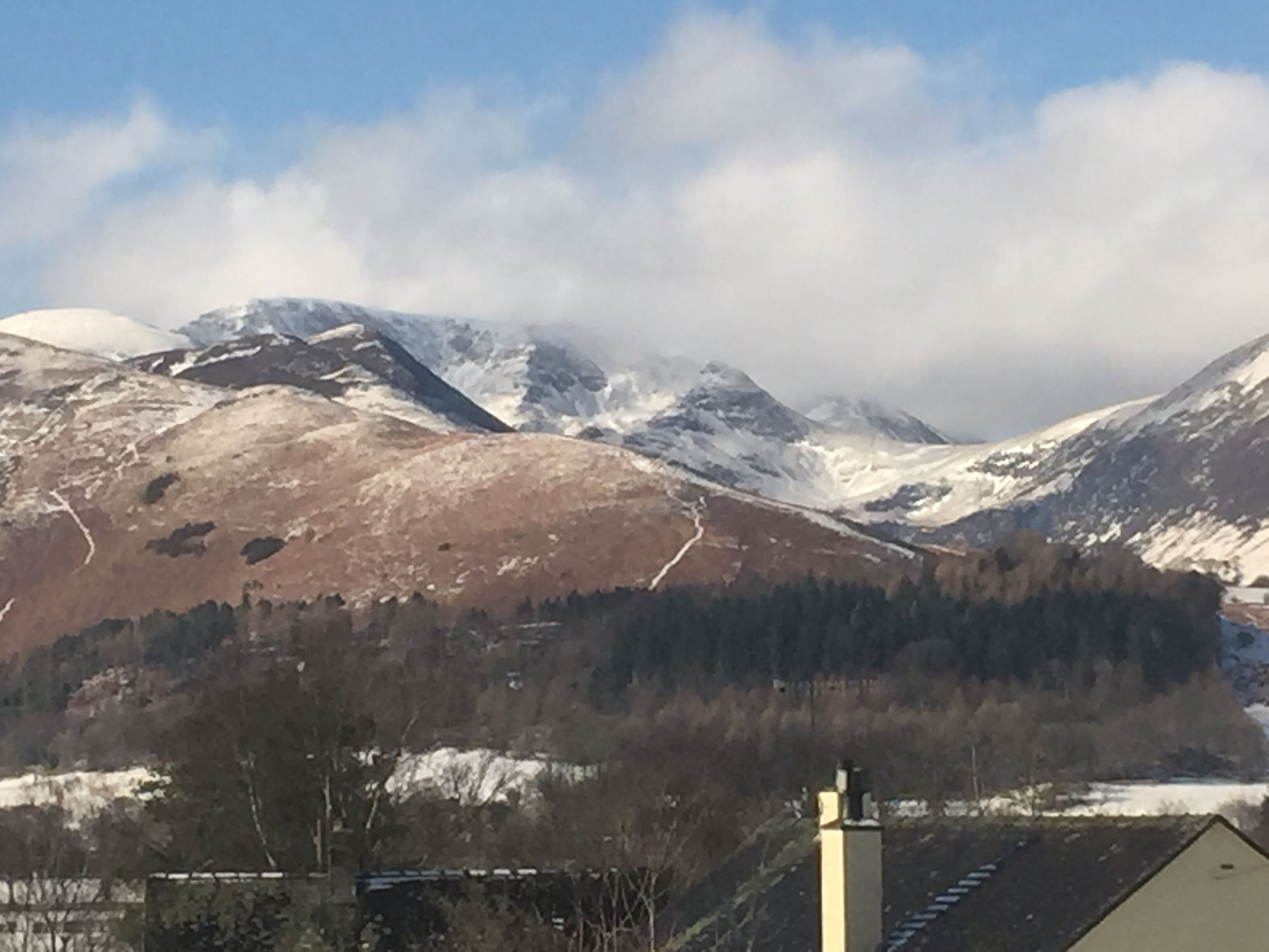 Paisaje montañoso con picos nevados y un valle boscoso.