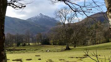 A mountainous landscape with a grassy field and trees.
