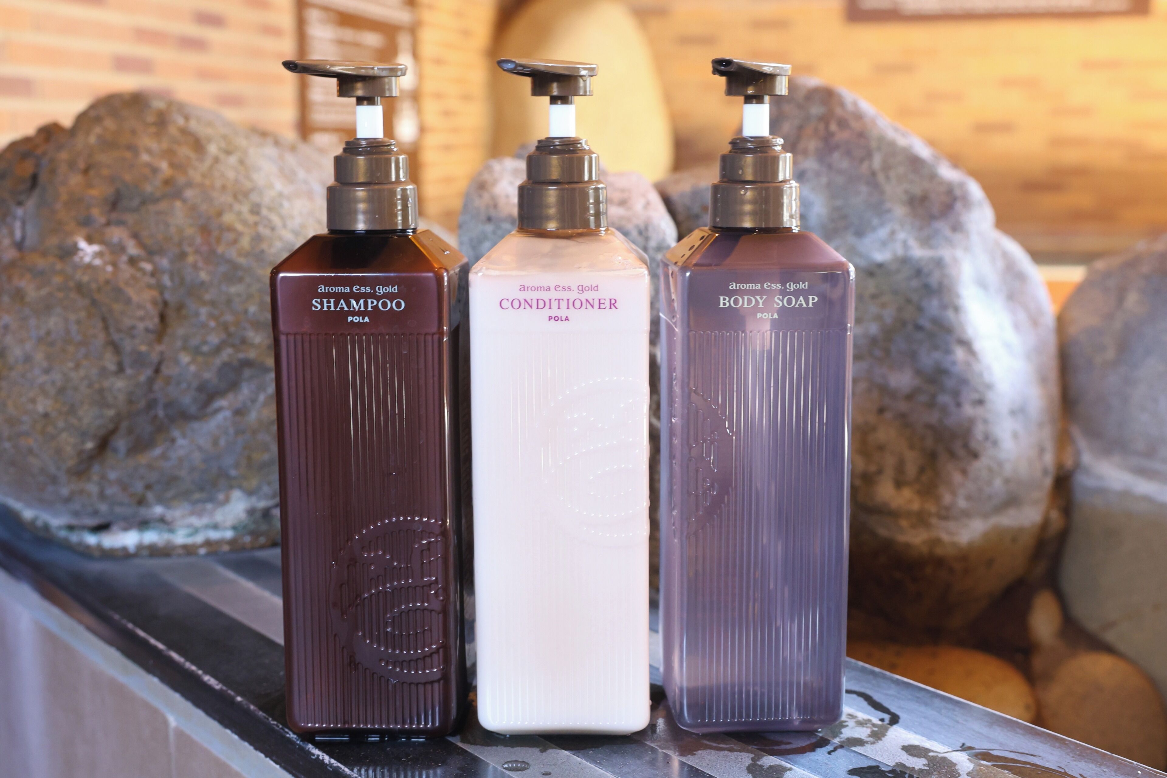 Trois bouteilles de shampoing, d’après-shampoing et de savon pour le corps, posées sur une surface métallique, avec un mur de briques et de gros rochers en arrière-plan.