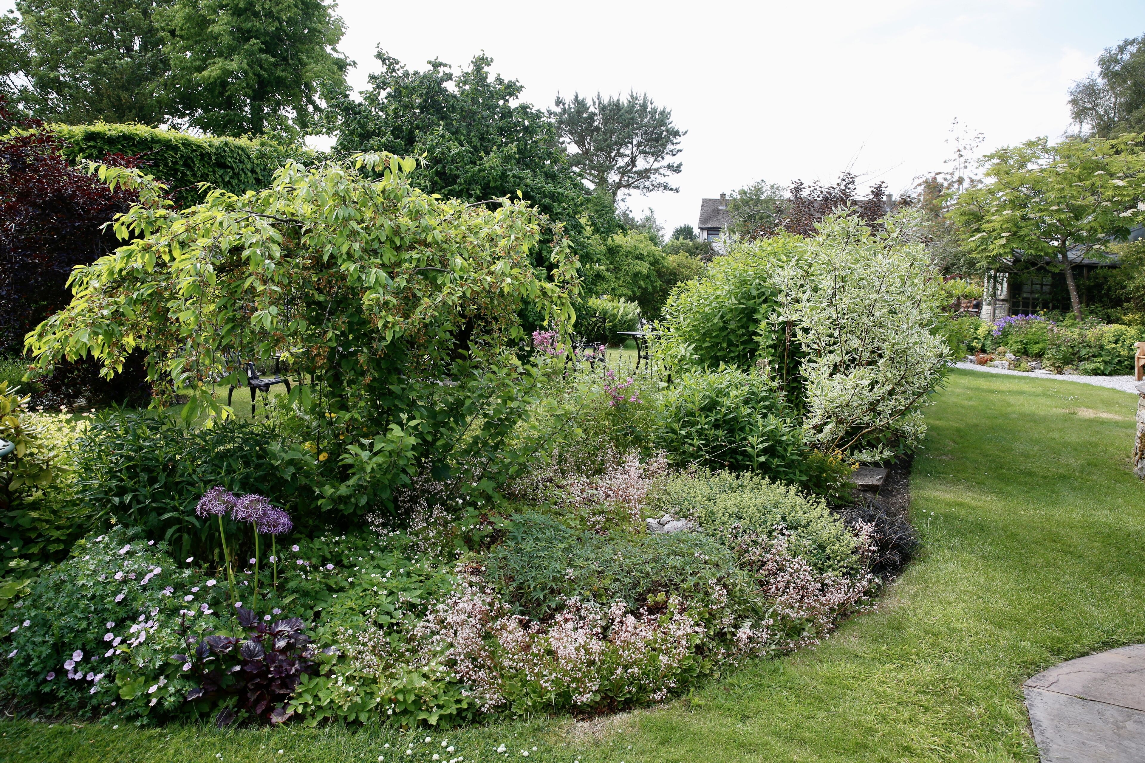 A well-maintained garden with various shrubs and flowering plants, a neatly trimmed lawn, and a stone pathway.