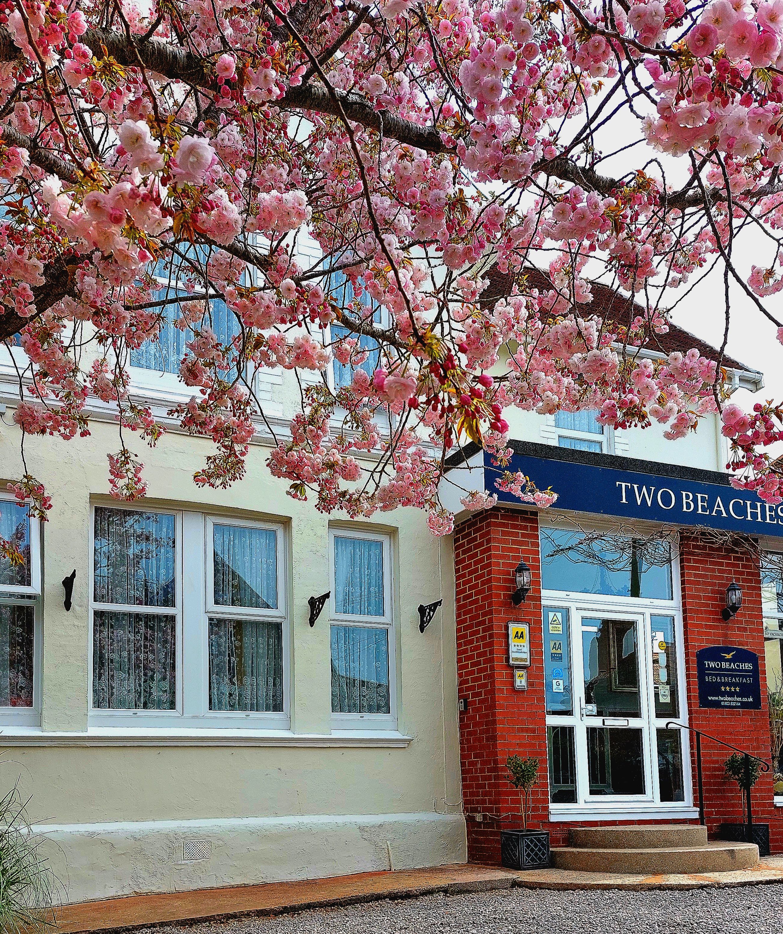 A building with a sign reading 'TWO BEACHES' and a brick entrance.
