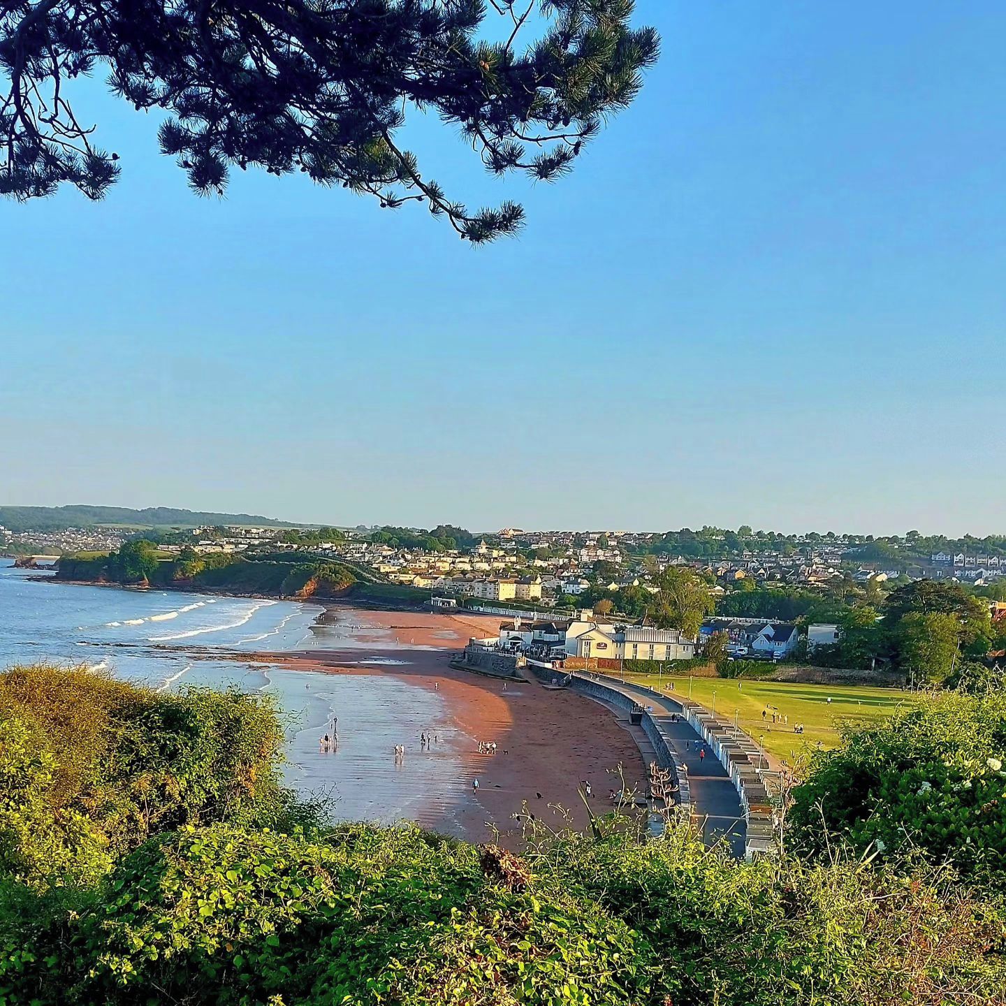 A coastal town with a beach, houses, and greenery.