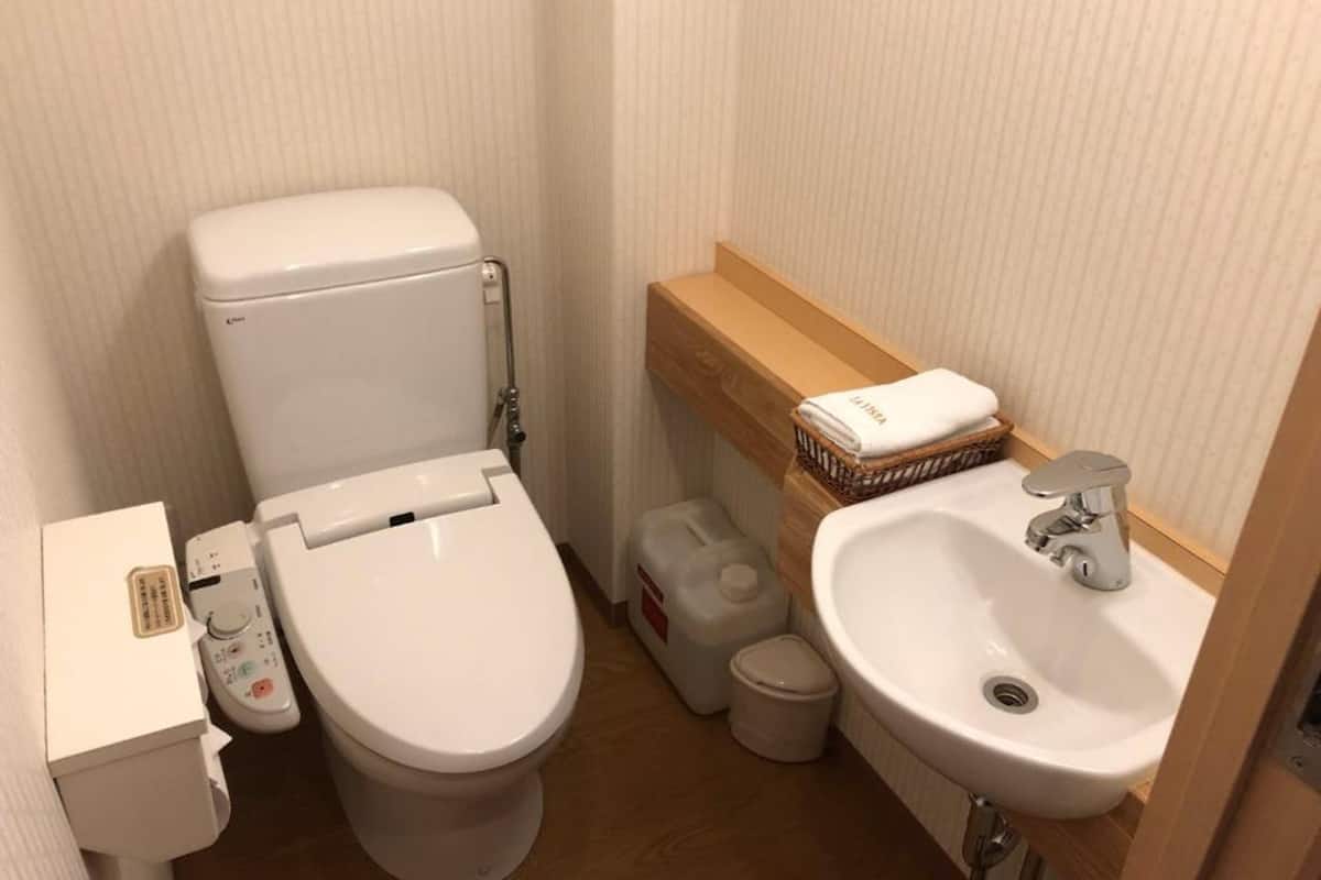 shower, hair dryer, slippers, bidet