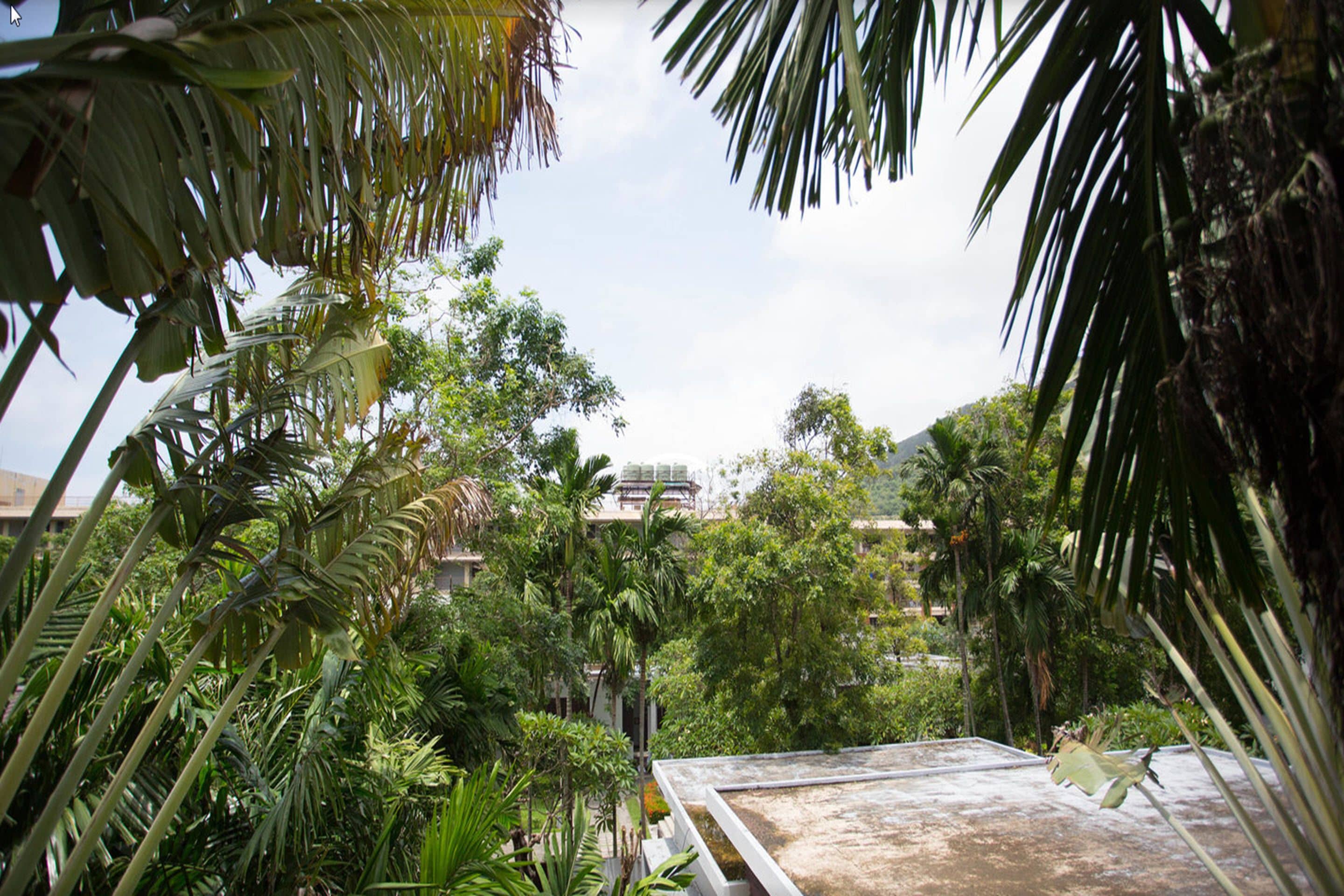 deluxe room | garden view