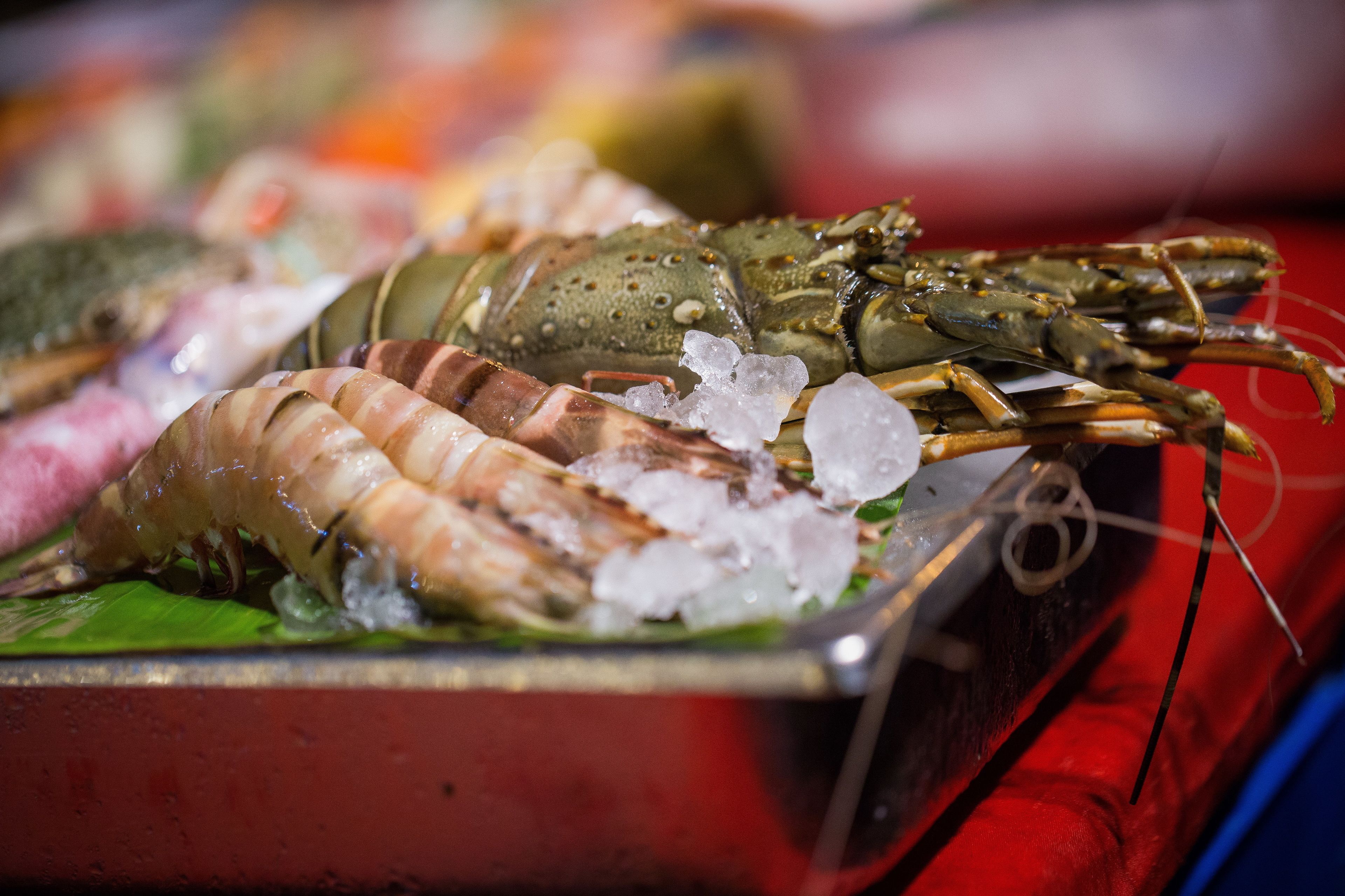 A variety of seafood, including lobsters and shrimp, displayed on a tray with ice.