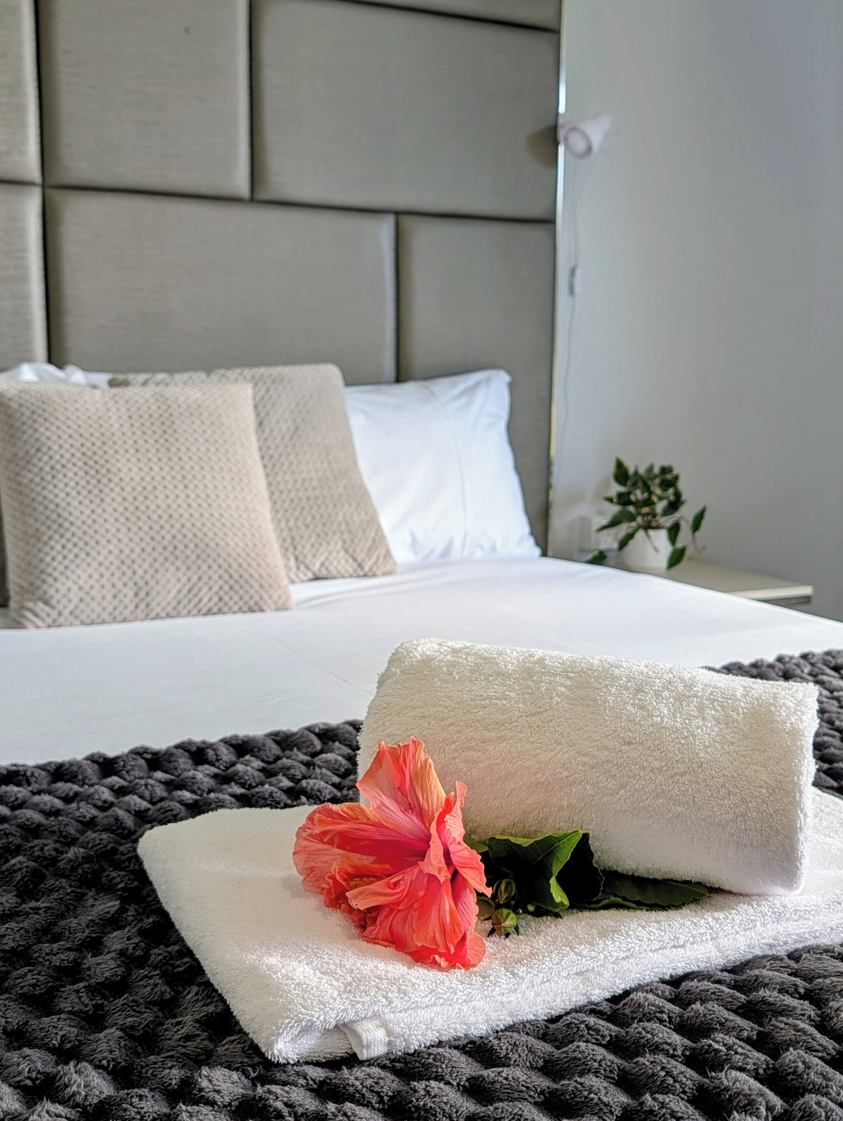 Una cama bien hecha con sábanas blancas, una flor rosa solitaria y una alfombra oscura con textura.