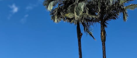 Una piscina al aire libre (de 08:00 a 20:00), tumbonas