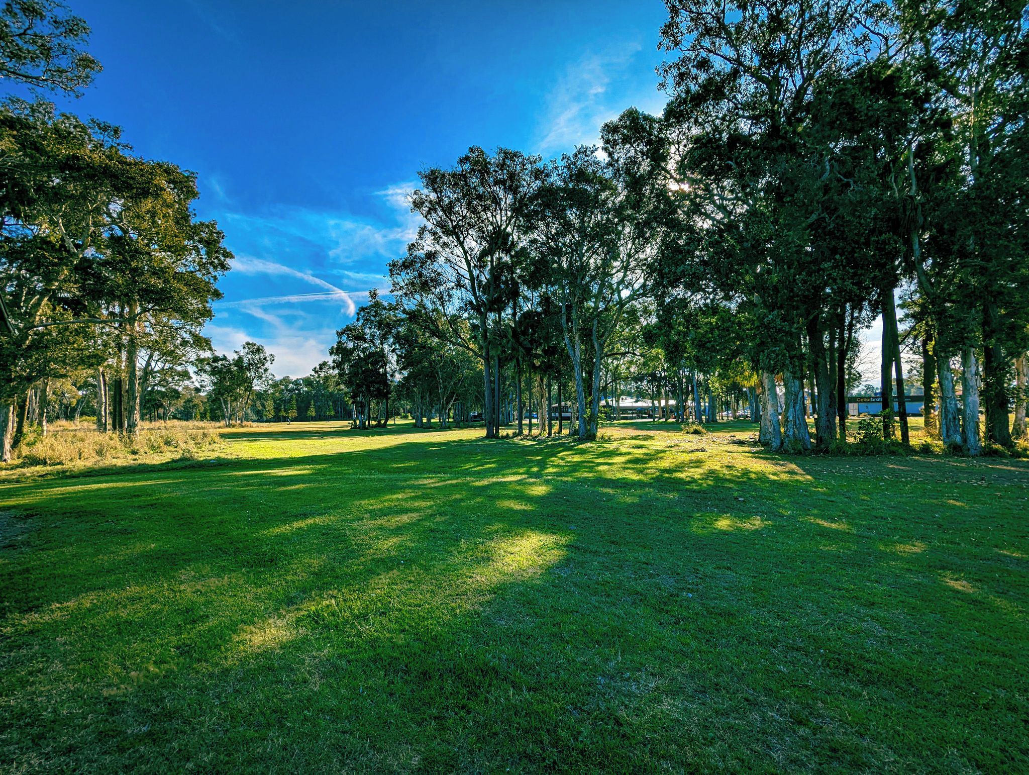 Un parque con césped, árboles y un cielo azul despejado.