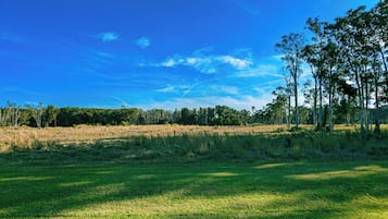 A grassy field with trees in the background under a clear blue sky.