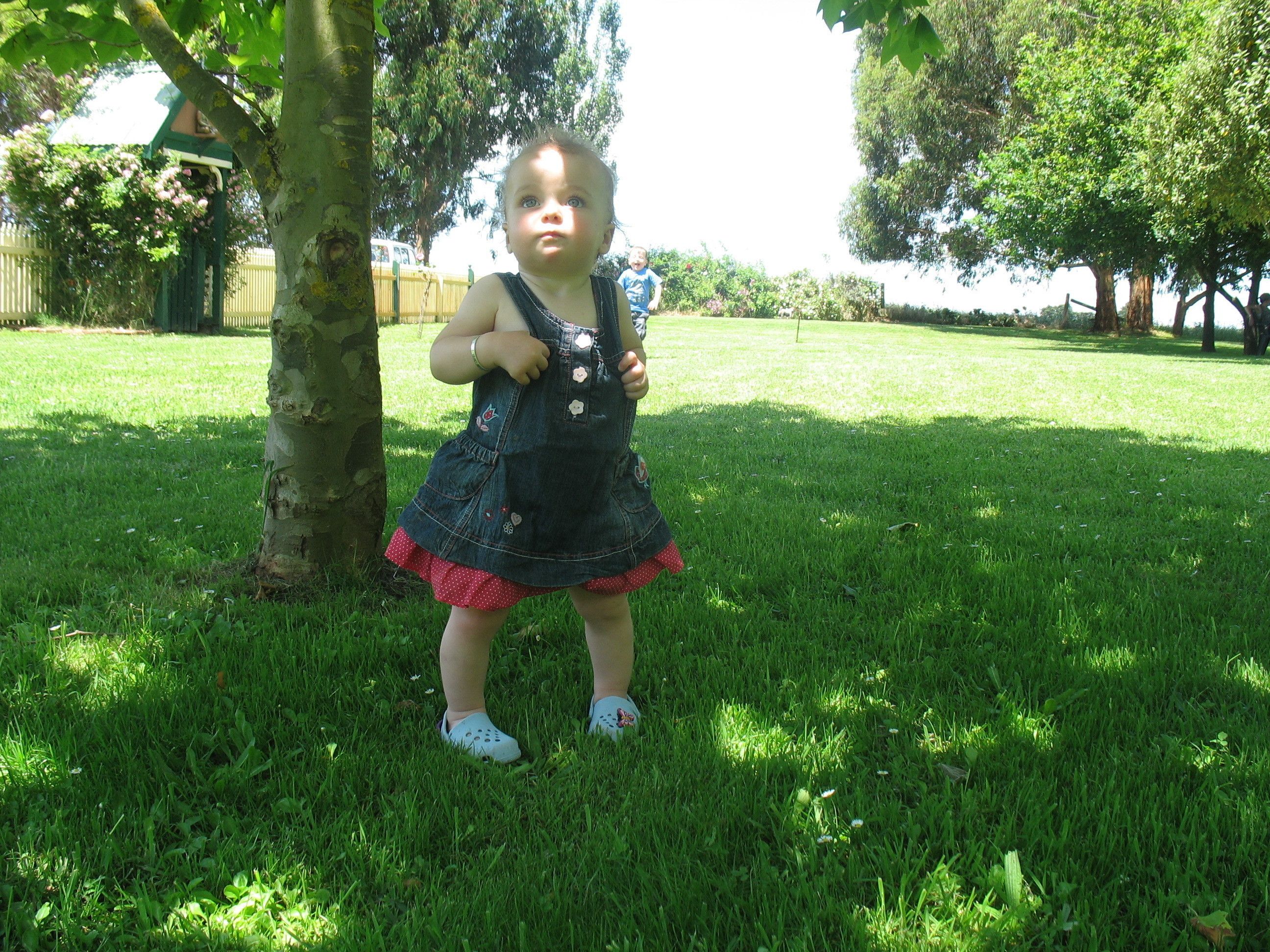 Un niño de pie sobre césped, con árboles y una cerca al fondo.
