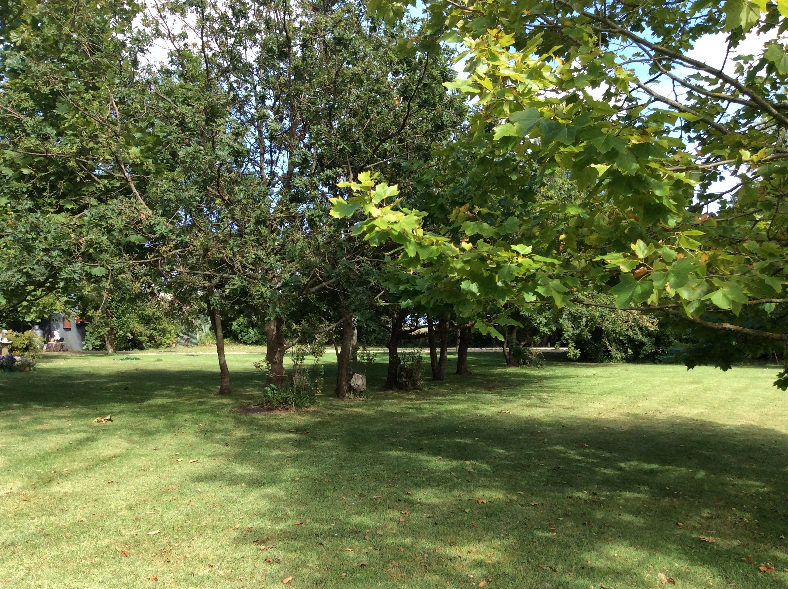 A well-maintained grassy area with trees and a wooden structure.